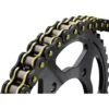 BikeMaster 520 BMOR Series O-Ring Chain
